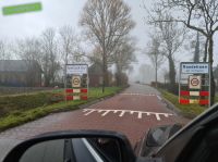 Roodehaan - Red-Cock City Roodehaan - Red-Cock City